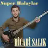 Hicabi Salık - Süper Halaylar